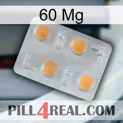 60Mg 24